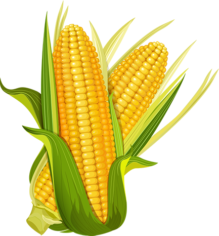 Sustainable Production and Agriculture